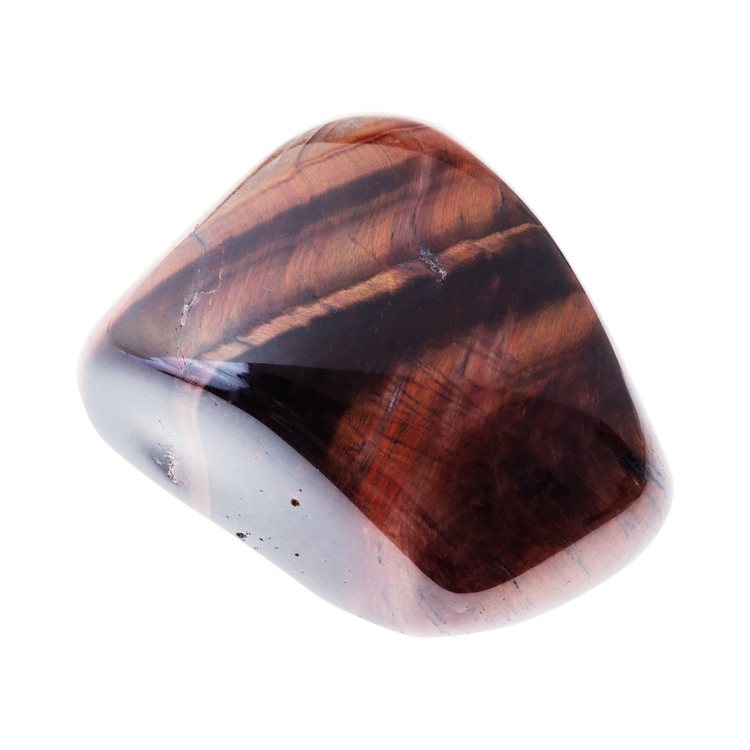 Oeil de taureau