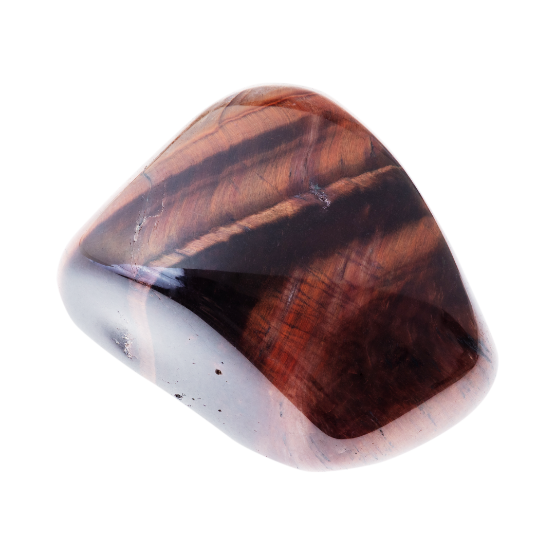Oeil de taureau