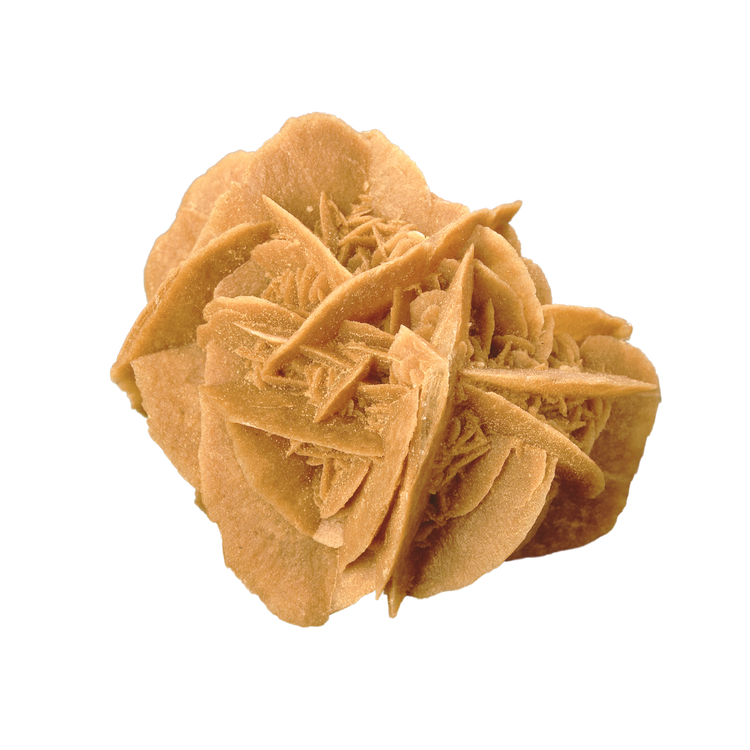 Rose des sables