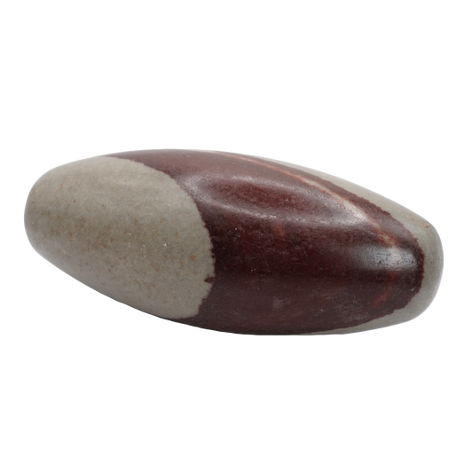 Ces pierres roulées en Shiva lingam de qualité A proviennent d’Inde, et mesurent entre 10 et 13 cm de longueur.