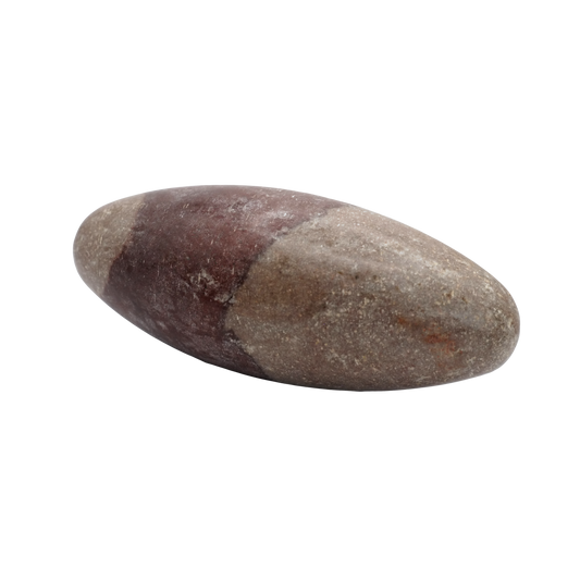 Ces pierres roulées en Shiva lingam de qualité A proviennent d’Inde, et mesurent entre 10 et 13 cm de longueur.