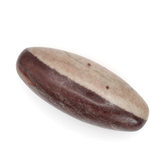 Ces pierres roulées en Shiva lingam de qualité A proviennent d’Inde, et mesurent entre 6 et 10 cm de longueur.
